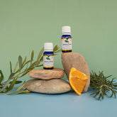No Germ Duo Essential Oils | Purify+Breathe Easy | Sanitise Air+Decongest Breathing Channel-1